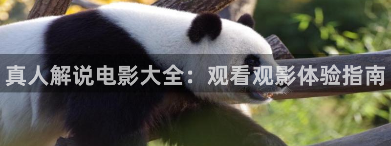 西瓜影院电影伦理