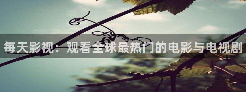 西瓜电影天堂