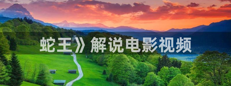 夜空中最亮的星免费观看西瓜影院