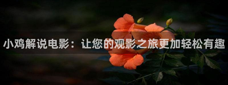三叉戟全集在线观看西瓜：小鸡解说电影：让您的观影之旅更加轻松有趣